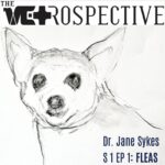 Episode 1: Fleas with Dr. Jane Sykes
