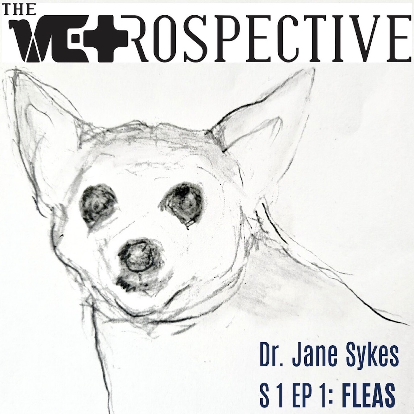 The Vetrospective cover art